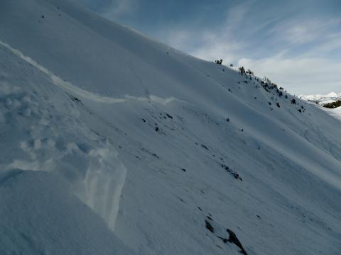 Snowmobiler triggered avalanche Henderson Mtn.
