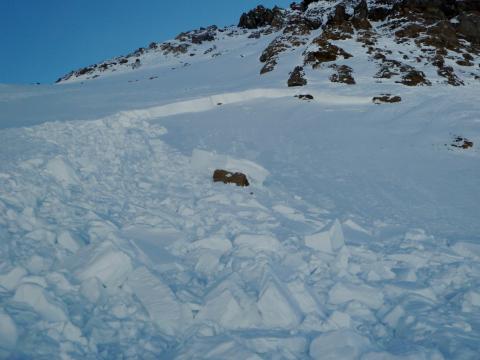 Crown Butte Avalanche