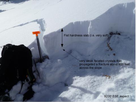 Buck Ridge Avalanche Crown