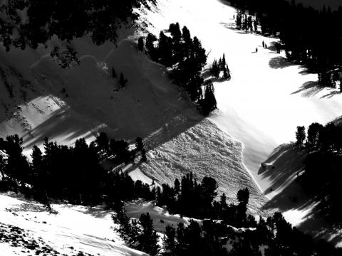 Goat Triggered Avalanche
