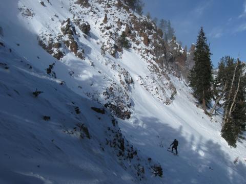 Natural Avalanche - Mt Blackmore 