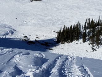 Daisy Pass Avalanche Runout Zone