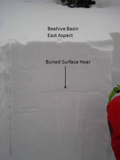 Buried Surface Hoar - Beehive Basin