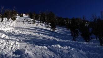 Beehive Avalanche Debris