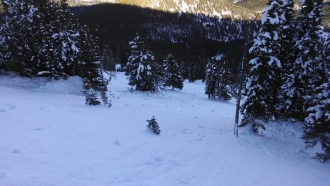 Mt Ellis avalanche debris