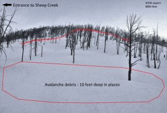 Remote Triggered Avalanche along route to Sheep Creek