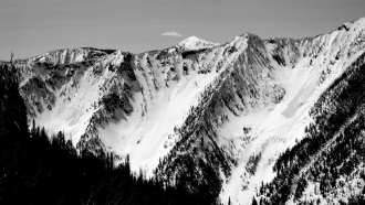 Wet loose avalanches near Emigrant gulch