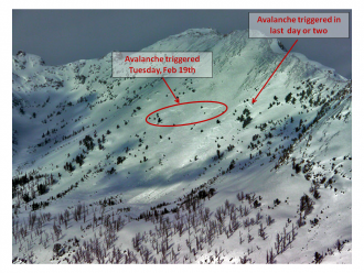 Another Sheep Basin Avalanche