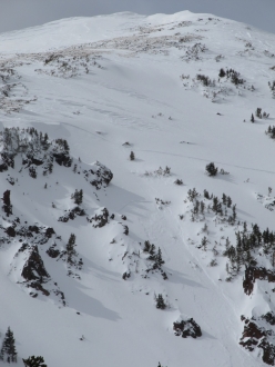 Skier Triggered Slide Mt Blackmore 21 March 11