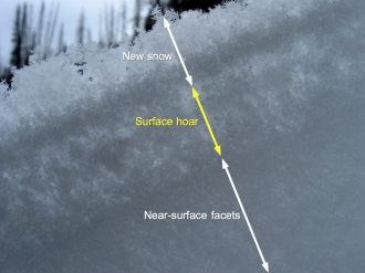 Buried surface hoar & other facets