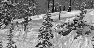 Soft Slab Avalanches in Cooke City