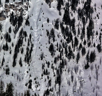 Lower Elevation Avalanche