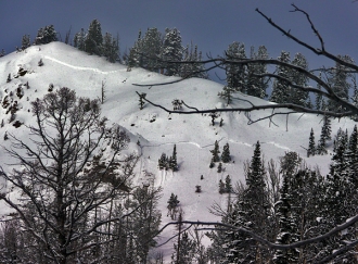 Cooke City Avalanche